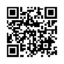 本网页连接的 QRCode