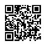 本网页连接的 QRCode