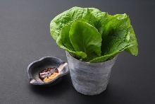 蔬菜配菜 蔬菜配菜
