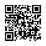 本网页连接的 QRCode