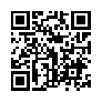 本网页连接的 QRCode