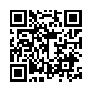 本网页连接的 QRCode