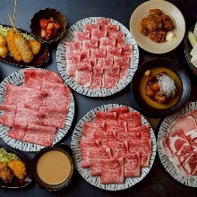 9,300日元套餐