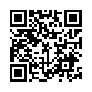 本网页连接的 QRCode