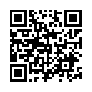 本网页连接的 QRCode