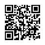 本网页连接的 QRCode