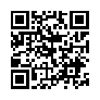 本网页连接的 QRCode