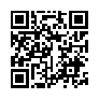 本网页连接的 QRCode