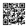 本网页连接的 QRCode