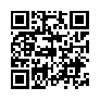本网页连接的 QRCode