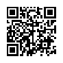 本网页连接的 QRCode