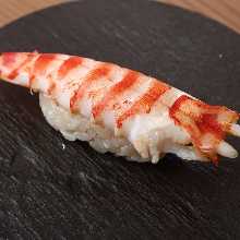 日本对虾