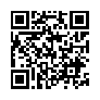 本网页连接的 QRCode