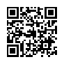 本网页连接的 QRCode