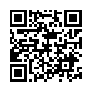本网页连接的 QRCode