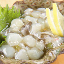 山葵章鱼