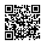 本网页连接的 QRCode