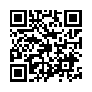 本网页连接的 QRCode