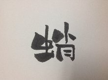 章鱼（生鱼片）