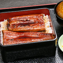 鳗鱼盒饭