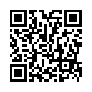 本网页连接的 QRCode