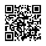 本网页连接的 QRCode