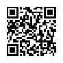 本网页连接的 QRCode