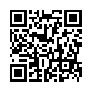 本网页连接的 QRCode