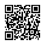 本网页连接的 QRCode