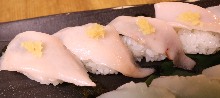金枪鱼