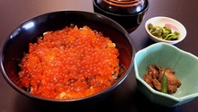 鲑鱼卵盖饭