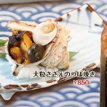 烤带壳角蝾螺