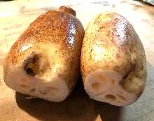 其他 烤、煎料理 其他 烤、煎料理