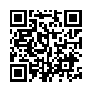 本网页连接的 QRCode