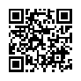 本网页连接的 QRCode