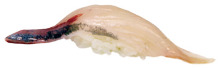 條紋竹莢魚