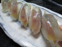 沙丁魚