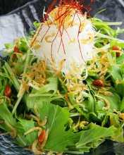 水菜 吻仔魚沙拉