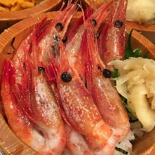 鮮蝦蓋飯