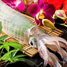 博多魚がし海の路天神店菜單 菜單1 天神 居酒屋 Gurunavi 日本美食餐廳指南 博多魚がし海の路天神店菜單 菜單1 天神 居酒屋 Gurunavi 日本美食餐廳指南