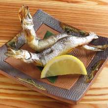 帶卵柳葉魚 帶卵柳葉魚