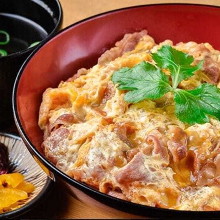 Domestic beef tojidon mini curry udon