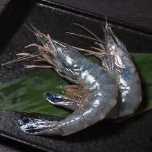 Tenshi no ebi