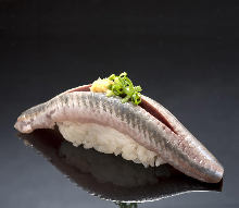 沙丁魚