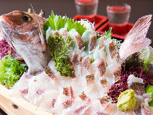 鯛魚