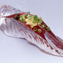 沙丁魚