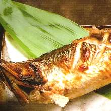 鯡魚