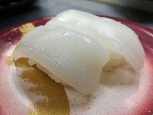 烏賊（魷魚）