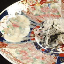 虎河豚