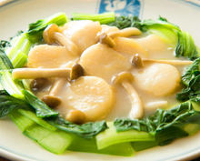 中華料理炒菜  其他料理